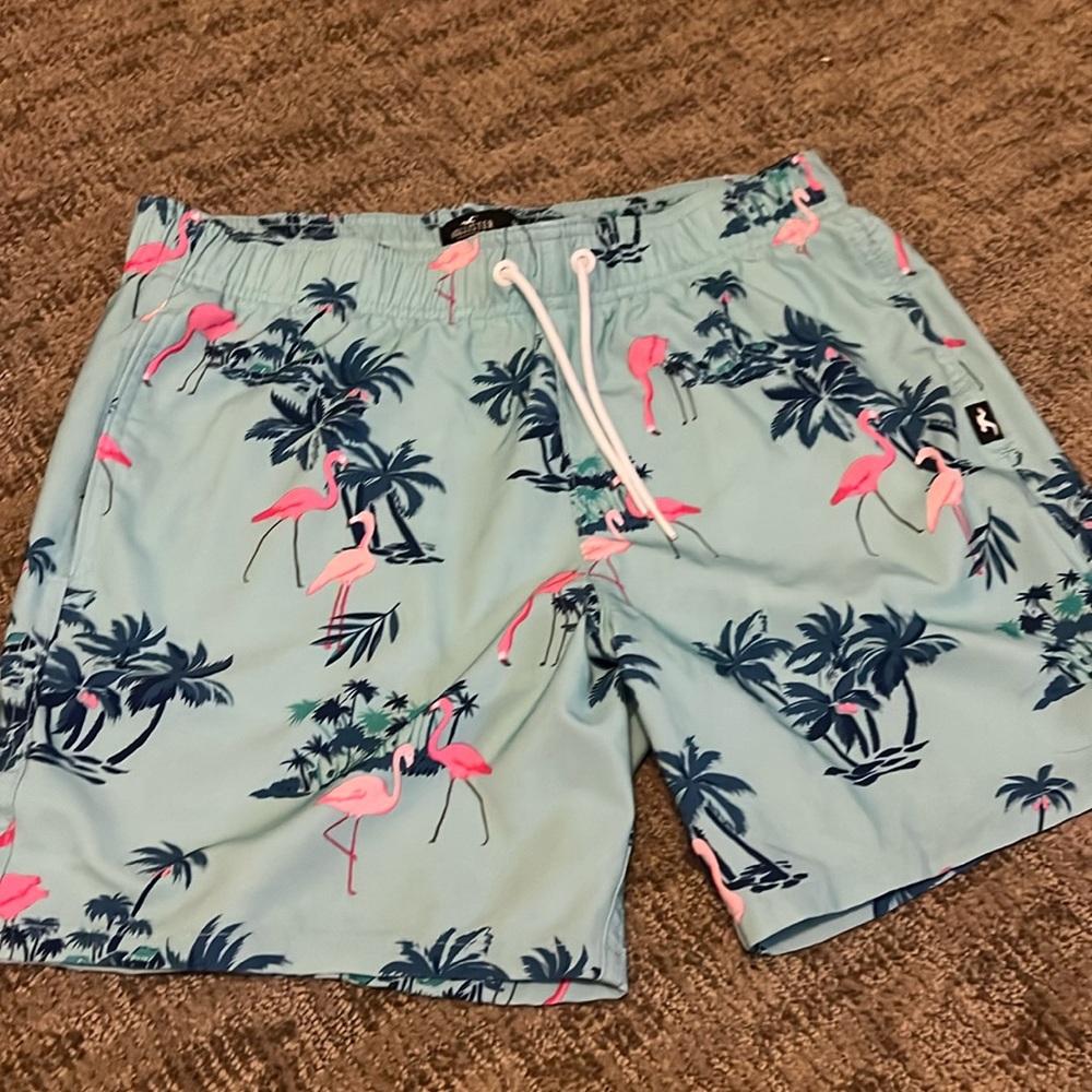 Hollister men’s bathing suit